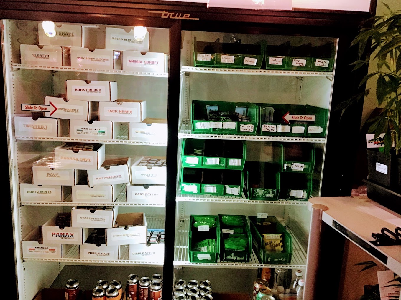 Phresh Start Barger menu wall