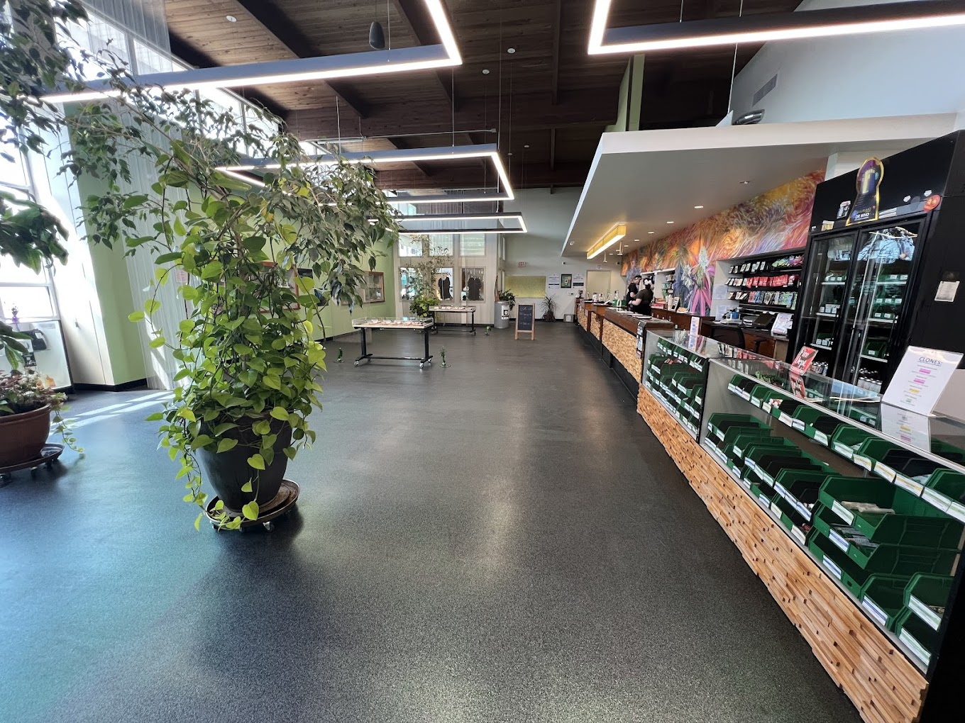 Phresh Start West 11th sales floor