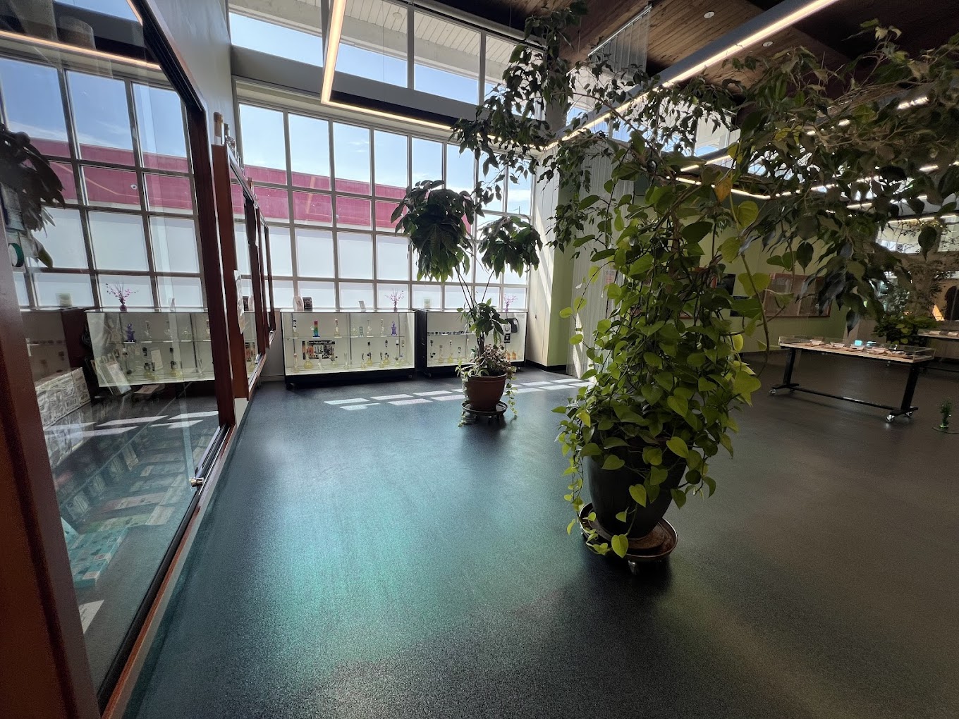 Phresh Start West 11th window display area